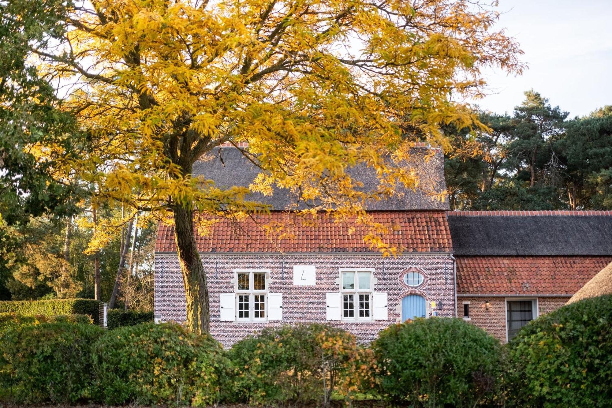 Beddermolen - Molenhuis Op Historisch Erfgoeddomein Westerlo Dış mekan fotoğraf
