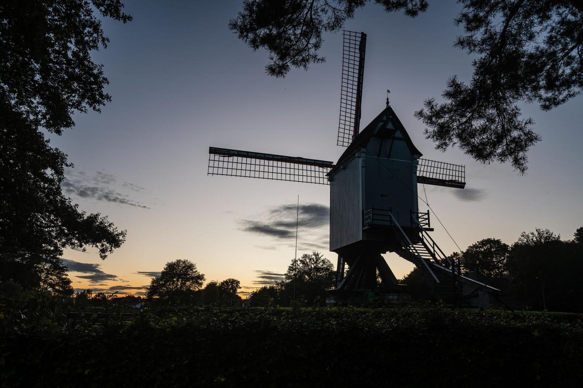 Beddermolen - Molenhuis Op Historisch Erfgoeddomein Westerlo Dış mekan fotoğraf